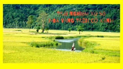 Chủ nhà cướp trắng mồ hôi nước mắt khi đòi mặt bằng, bán món tôi xây thương hiệu