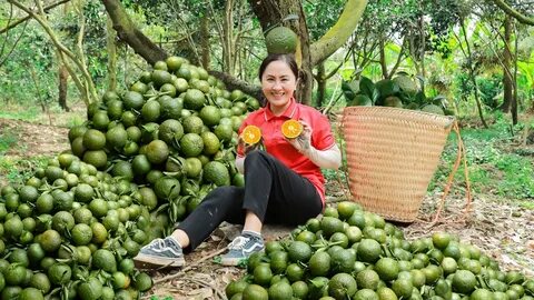 Bunmathan phát biểu làm 'dậy sóng' truyền thông Thái Lan về Quang Hải